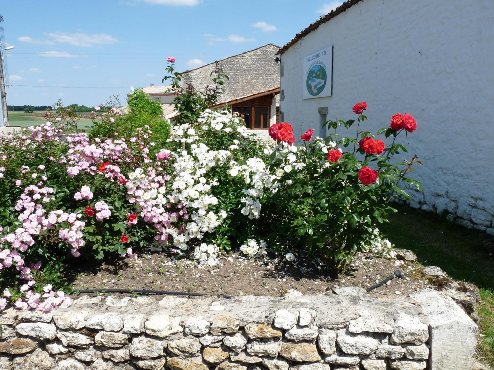 Gites Chez Belliveau Meursac Екстер'єр фото